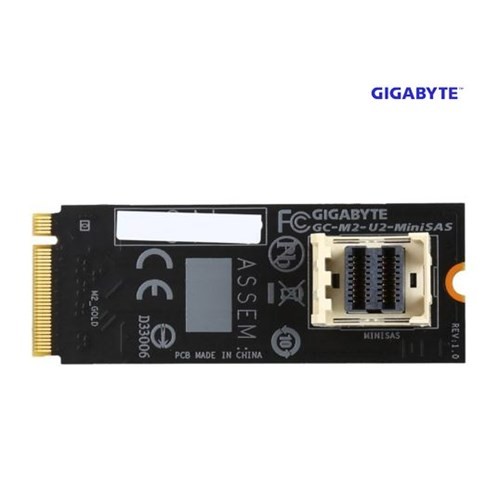 Gigabyte M.2 to U.2-Mini-Sas Motherboard