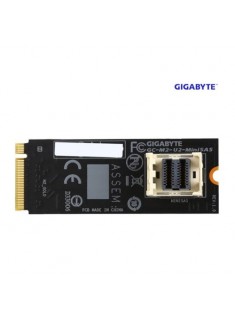 Gigabyte M.2 to U.2-Mini-Sas Motherboard